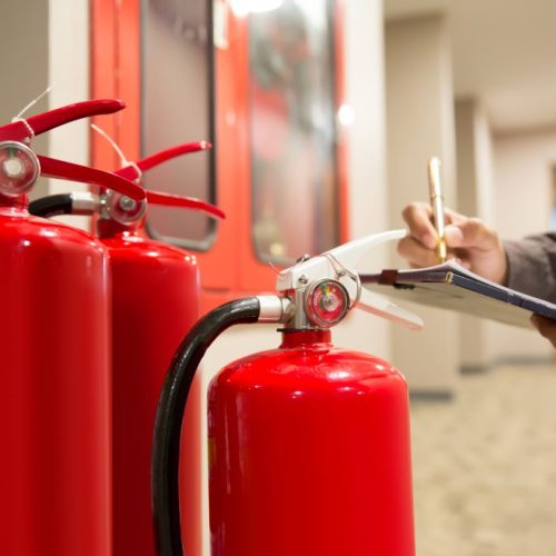 shutterstock_1454036687-1024x683-1